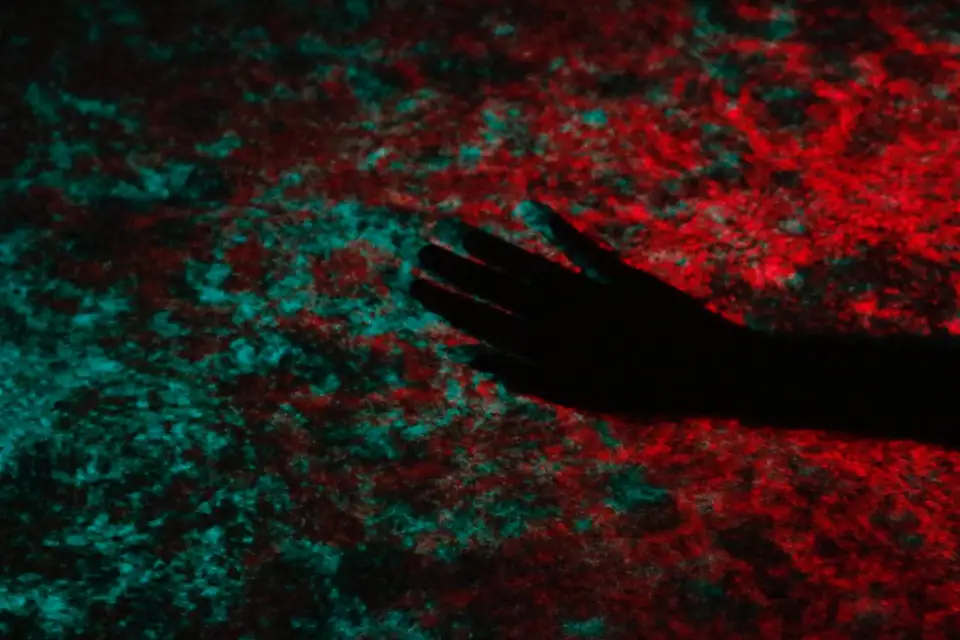 The Cellular Fidelity — documentation image 10 of 19