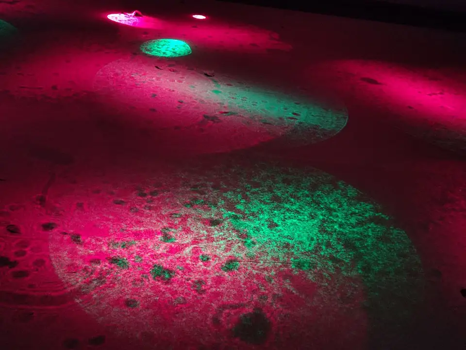 The Cellular Fidelity — documentation image 3 of 19
