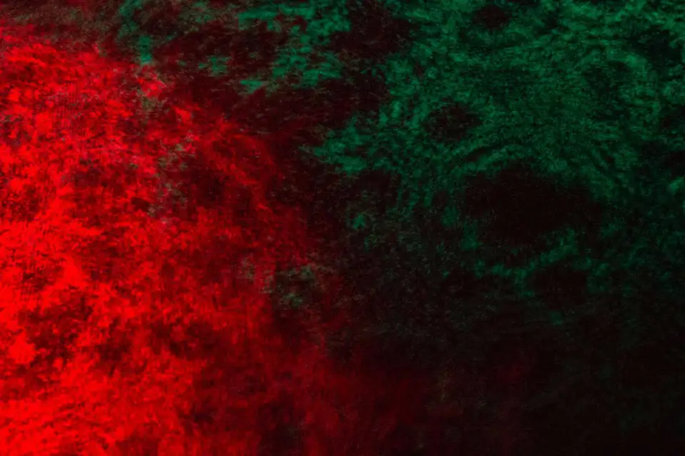 The Cellular Fidelity — documentation image 8 of 19